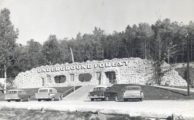 Underground Forest - Old Post Card